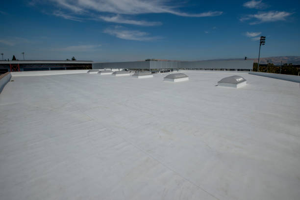 Best Asphalt Shingle Roofing  in Fort Lauderdale, FL